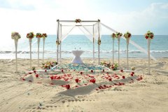 Beach-Wedding-Venue-110