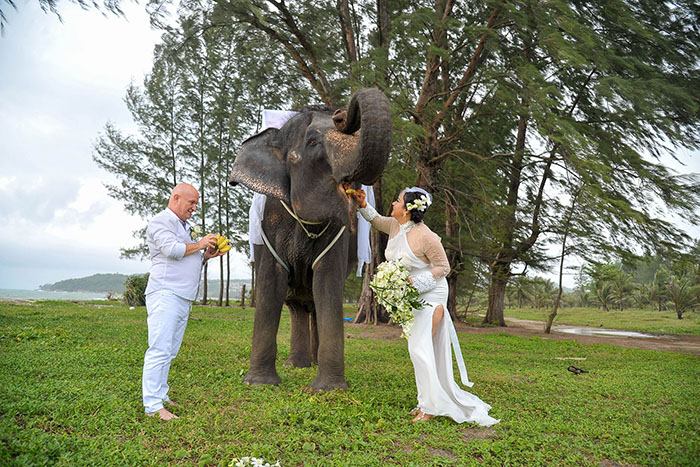 Krabi Thai Elephant Blessing Package